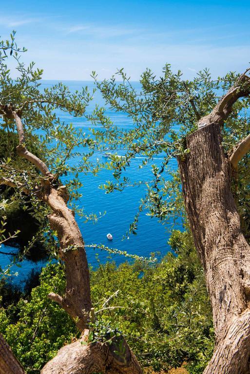 Villa De Rosa Positano Luaran gambar