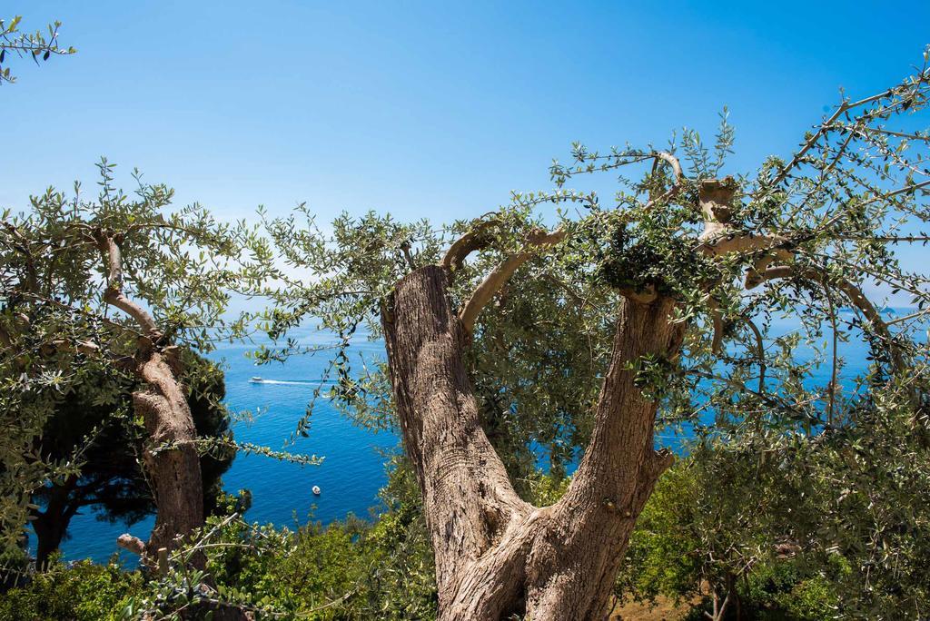 Villa De Rosa Positano Luaran gambar